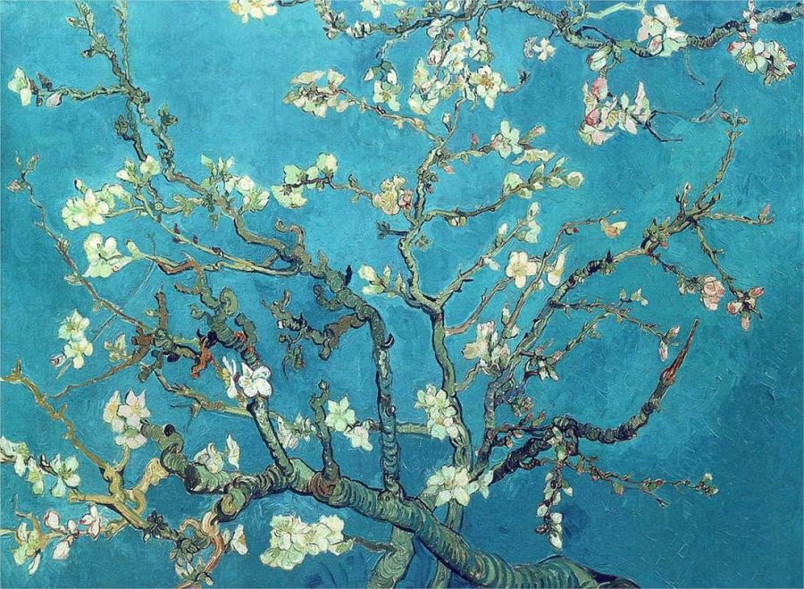 almond-blossom