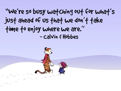 calvin-hobbes-quote-life-good-sayings-pictures-pics-e1446040516201