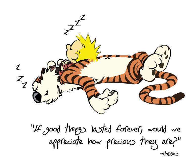 The Best Calvin And Hobbes Quotes For Basically Everything In Life