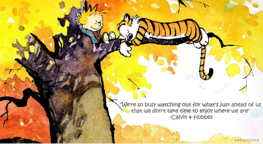 The Best Calvin And Hobbes Quotes For Basically Everything In Life The Best Calvin And Hobbes Quotes For Basically Everything In Life